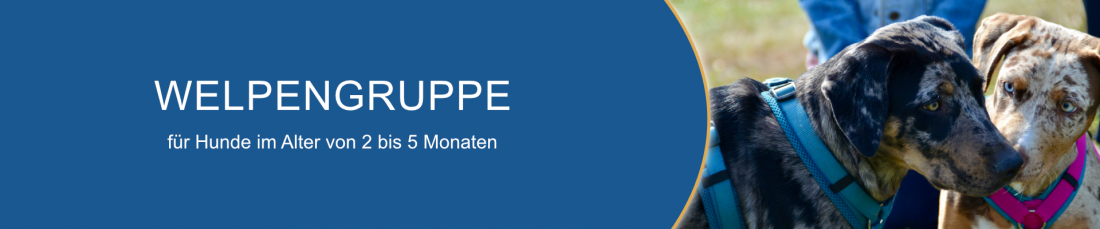 Welpengruppe