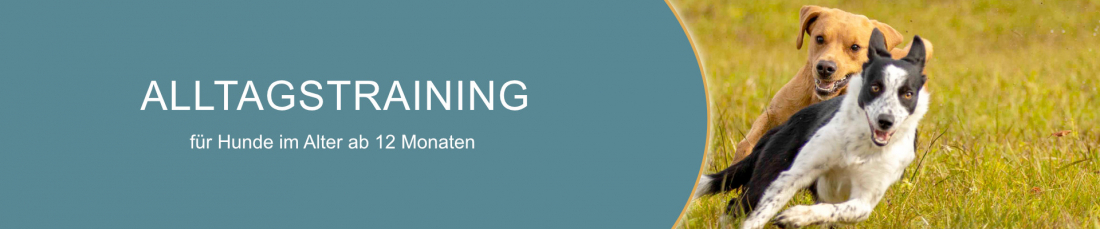 Alltagstraining