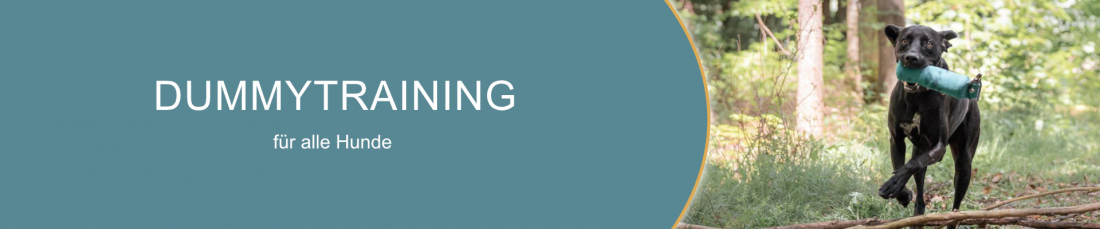 Dummytraining