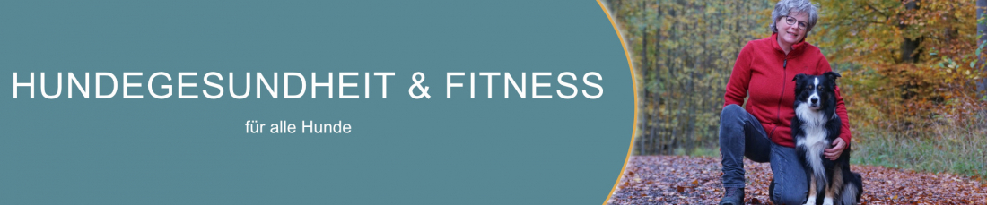 Hundegesundheit & Fitness