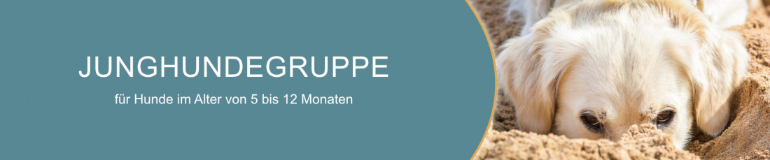 Junghundegruppe