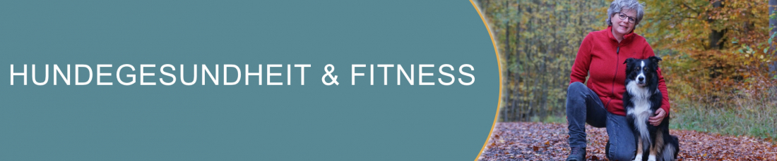 Hundegesundheit & Fitness